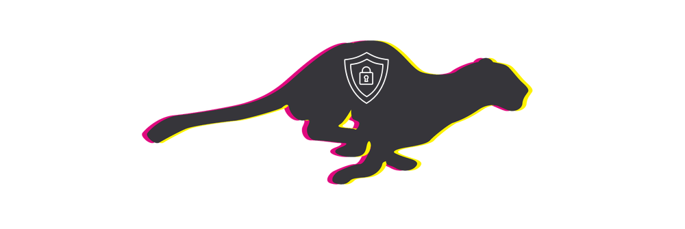 Use Puma to deploy your Rails APP with SSL